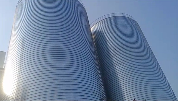 湖口2座混凝土高架卷板仓